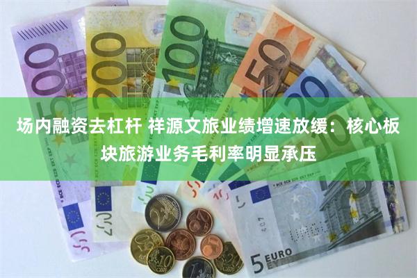 场内融资去杠杆 祥源文旅业绩增速放缓：核心板块旅游业务毛利率明显承压