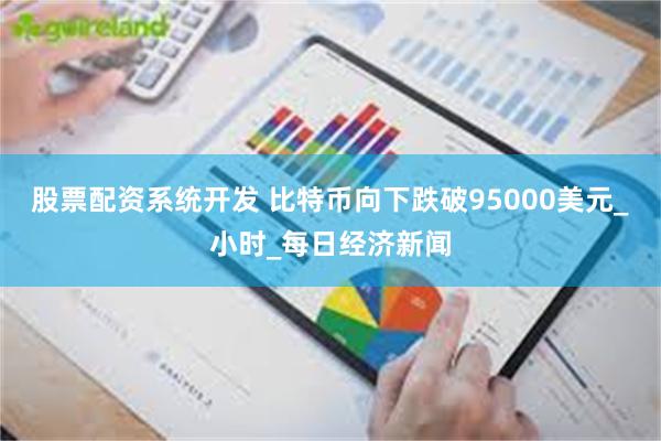 股票配资系统开发 比特币向下跌破95000美元_小时_每日经济新闻