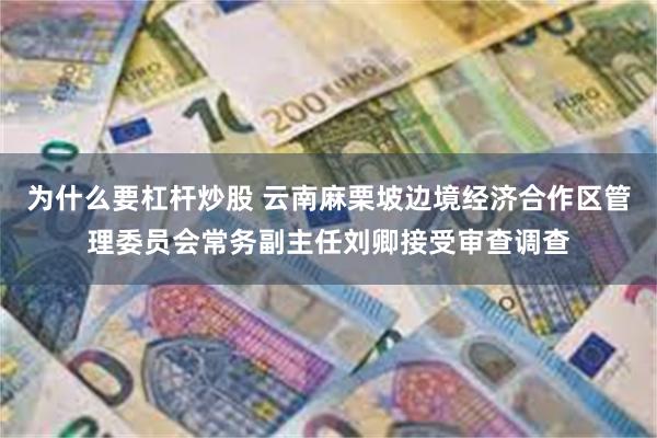 为什么要杠杆炒股 云南麻栗坡边境经济合作区管理委员会常务副主任刘卿接受审查调查