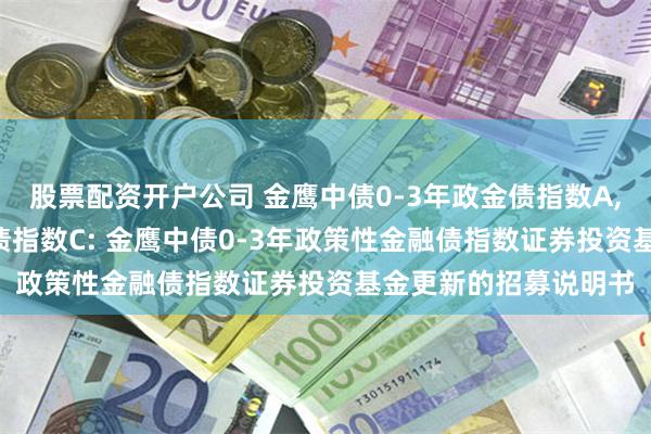 股票配资开户公司 金鹰中债0-3年政金债指数A,金鹰中债0-3年政金债指数C: 金鹰中债0-3年政策性金融债指数证券投资基金更新的招募说明书