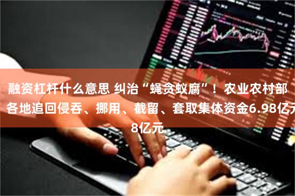 融资杠杆什么意思 纠治“蝇贪蚁腐”！农业农村部：各地追回侵吞、挪用、截留、套取集体资金6.98亿元