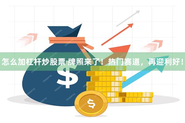 怎么加杠杆炒股票 牌照来了！热门赛道，再迎利好！