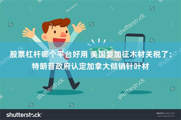 股票杠杆哪个平台好用 美国要加征木材关税了：特朗普政府认定加拿大倾销针叶材