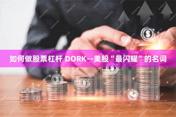 如何做股票杠杆 DORK--美股“最闪耀”的名词