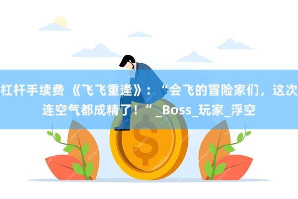 杠杆手续费 《飞飞重逢》：“会飞的冒险家们，这次连空气都成精了！”_Boss_玩家_浮空