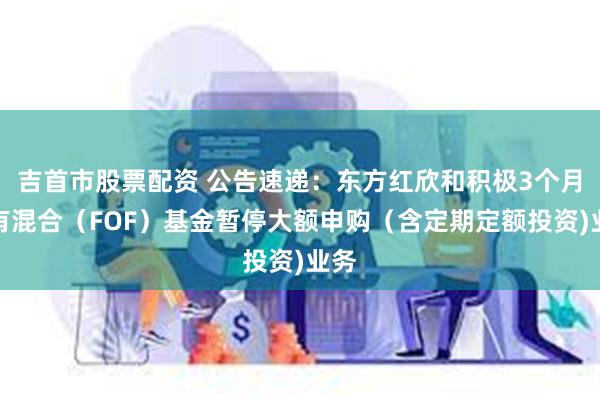 吉首市股票配资 公告速递：东方红欣和积极3个月持有混合（FOF）基金暂停大额申购（含定期定额投资)业务