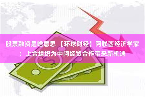 股票融资是啥意思 【环球财经】阿联酋经济学家：上合组织为中阿经贸合作带来新机遇