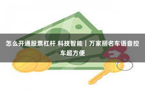 怎么开通股票杠杆 科技智能|万家丽名车语音控车超方便
