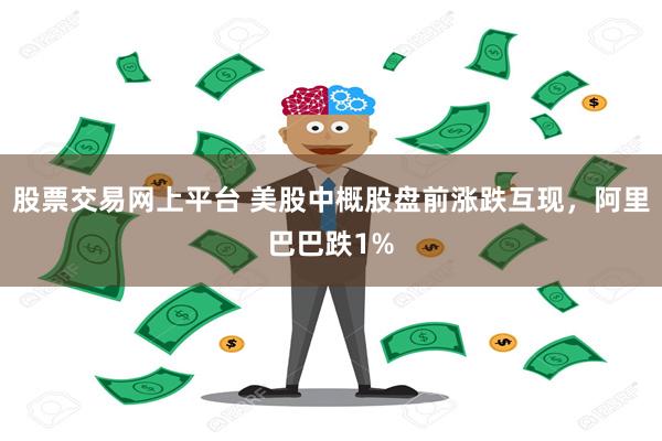 股票交易网上平台 美股中概股盘前涨跌互现，阿里巴巴跌1%